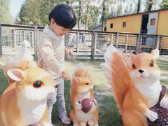 -前小桔亲子创意农场·草莓采摘·露营烧烤