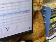-康成宠物医院24H·CT·核磁共振