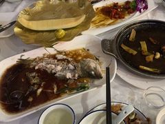 -云中小雅