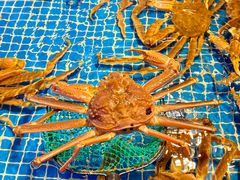 -驻海渔市(置信店)