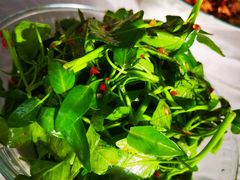 -陈胖子鱼庄(黄辣丁新津店)