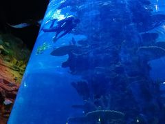-琴岛之星摩天轮