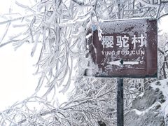 -紫金山山顶公园