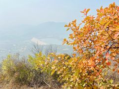 -北京十三陵国家森林公园蟒山景区