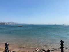 -小麦岛公园