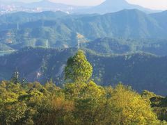 -水濂山森林公园