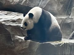 -宁波野生动物园