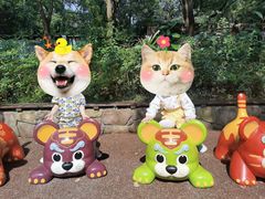 -上海野生动物园