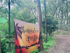 -南山植物园