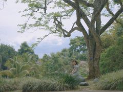 -中国科学院西双版纳热带植物园