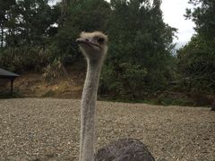 -千岛湖东南湖区