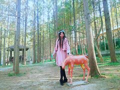 -南京金牛湖风景区