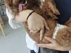 -谐和贝康宠物医院24小时·宠保定点(急重症转诊中心)