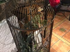 -花蒲甜品(海信广场店)