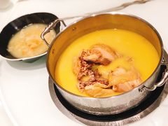 招牌鸡煲翅锅-新一哥粤菜火锅(瑞金店)