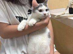 -宠颐生猫科·内科皮肤科(西平世纪城店)