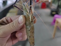 -光头佬钓虾场·烧烤·聚餐·亲子(金沙洲店)