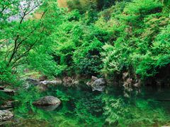 -黄山翡翠谷景区