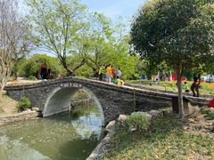 -鹅湖玫瑰文化园
