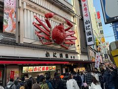 -蟹道乐(道顿堀本店)