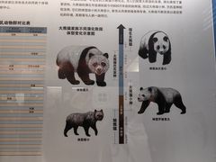 -柳州白莲洞洞穴科学博物馆