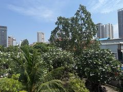 -吐斯廉屠杀博物馆