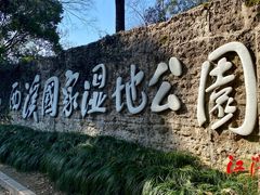 -西溪国家湿地公园