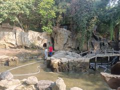 -燕塞湖鸟语林景区
