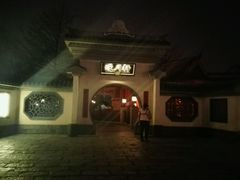 -迪士尼乐园停车场