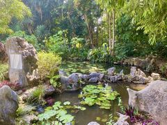 -中国科学院西双版纳热带植物园