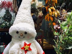 -双季花艺园艺市场(浦东店)
