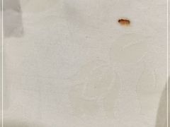 -修记牛杂店(同华东一路店)