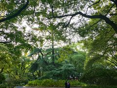 -上海大学(嘉定校区)