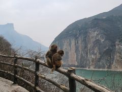-白帝城·瞿塘峡景区