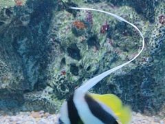 -大连老虎滩海洋公园