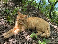 -终南山南五台景区