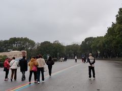-南湖湿地公园