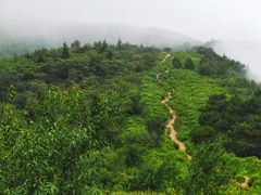 -妙峰山风景名胜区