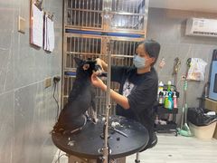 -悠尼宠物·独立低压伊珊娜洗护·美容·寄养(兰谷路店)