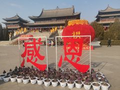 -大槐树寻根祭祖园