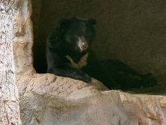 -清迈夜间动物园