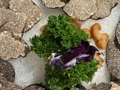 -芸山季·云南野生菌火锅(南翔印象城MEGA店)