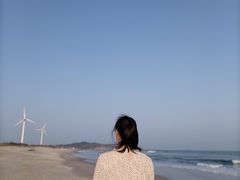 -汕尾风车岛