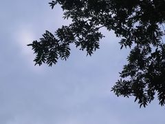 -重庆彩云湖湿地公园