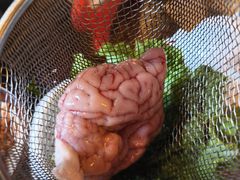 -山城棒棒军手作火锅·天花板手撕水牛鲜毛肚(北京店)
