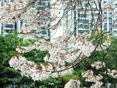-红星桥(地铁站)