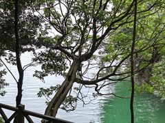-广州市流溪河国家森林公园