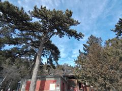 -阳台山自然风景区