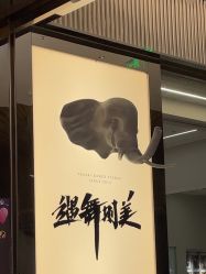 -YASAKI国际舞蹈中心