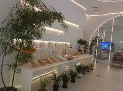 -紫琪尔·匠心连锁·胸部护理养护